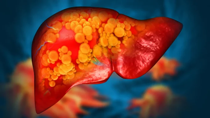 human-liver-organ-damage.webp