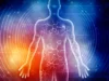 科學家揭示七日禁食如何改變人體