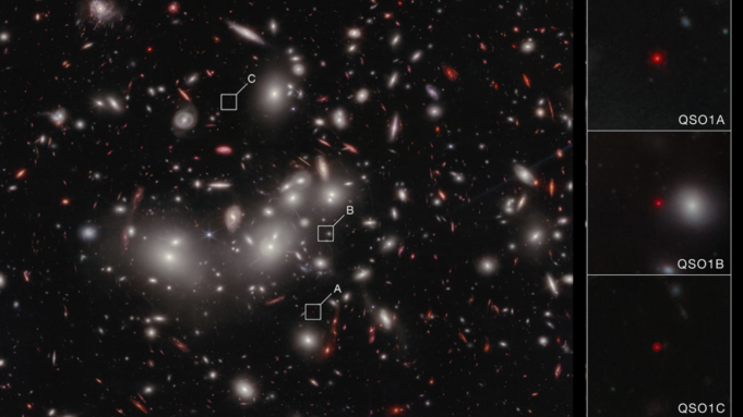 k4PMCgRSj469y69Licmqw5-1600-80.png