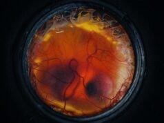 從人造蛋殼中孵出的小雞、研究地球磁層的新任務、更多科學故事