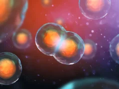 科學家發現為什麼有些具有雙股DNA的細胞會拒絕死亡