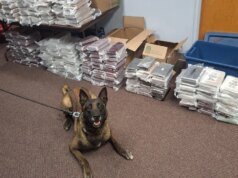 內布拉斯加州 K9 向 80 號州際公路的警察發出警報後查獲 525 磅可卡因