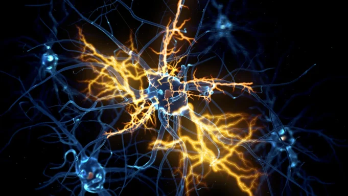 neurons-electrical-signal-regeneration.webp