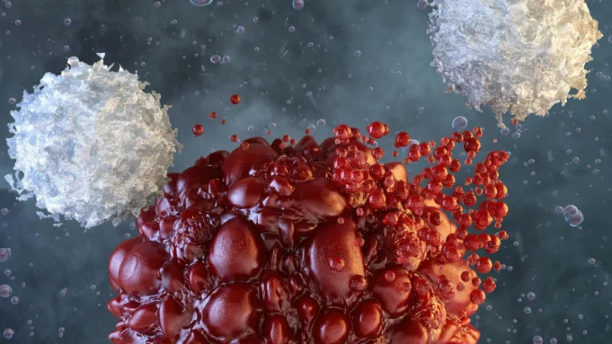 nk-immune-cells-attacking-cancer.webp