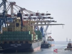 經濟學家:一站式出口政策可以增強國家收入