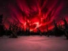 在古樹中發現800年前致命的「紅色天空」太陽風暴