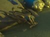 如何將 Subnautica 2 中的聲音諧振器升級為反饋諧振器