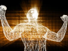 科學家增強了一種蛋白質的含量,老年小鼠變得更強壯、更健康
