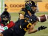 CFL自由球員市場:蒂卡特簽下球星WR勞勒至2028年續約