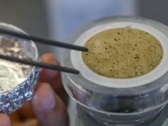 微塑膠隨處可見。這是一個有待研究的問題