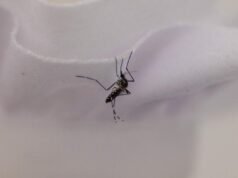 滅蚊工具面臨障礙:讓洛杉磯的業主付費