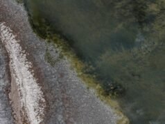 索爾頓海附近的灰塵導致兒童肺部問題