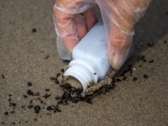 關於洛杉磯火災後海灘污染的新報告發現了好消息
