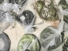 國際野生動物貿易導致疾病在物種之間傳播