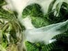 奧克斯納德男子走私 1,700 隻爬行動物中的小鱷魚,被判五年監禁