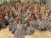 PLN EPI 與 PLN Puslitbang 和 Itera 共同加強生物能源生態系統