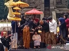 Pokdarvis:Jazz Atas Awan 再次參加 DCF 2026
