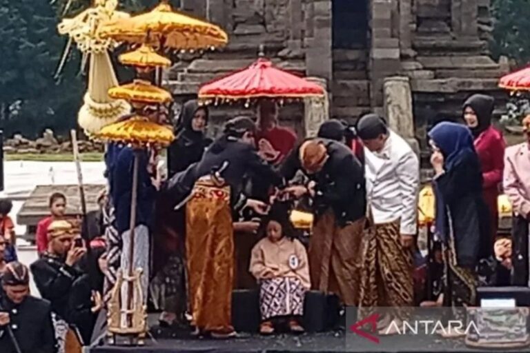 Pokdarvis：Jazz Atas Awan 再次參加 DCF 2026