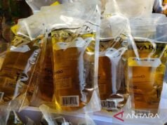 北蘇門答臘部落格保證向大眾提供市場上的微縮模型。