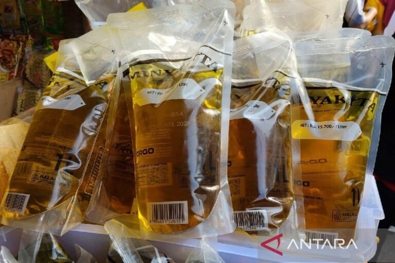 北蘇門答臘部落格保證向大眾提供市場上的微縮模型。