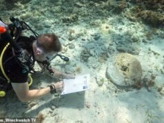 真正的加勒比海盜:科學家在巴哈馬海岸發現了三艘沉船,上面有“海盜惡作劇的所有跡象”
