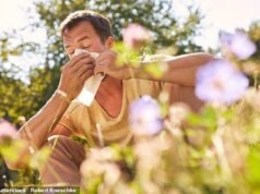 專家揭示如何立即阻止花粉熱——英國正準備應對“花粉炸彈”