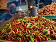 週五早上紅辣椒價格 IDR 69,750/kg,雞蛋 IDR 29,750/kg
