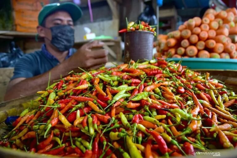 週五早上紅辣椒價格 IDR 69,750/kg，雞蛋 IDR 29,750/kg