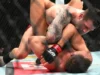 UFC Vegas 118 投注精選:週六晚間將進行三場比賽