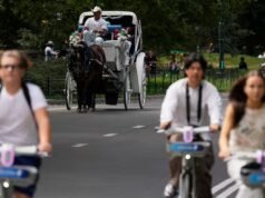 紐約中央公園少年被從馬車上拋下身亡