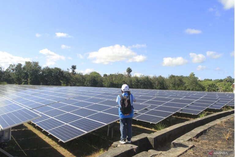 YLKI支持建造100GW PLTS以實現能源多元化