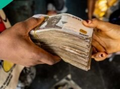 隨著信貸反彈,銀行外現金升至 N5.19trn