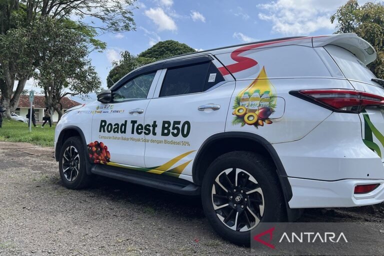 經濟學家：B50實施後營運成本可能會增加