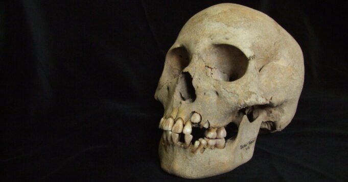 17sci-plague-03-ztck-facebookJumbo.jpg