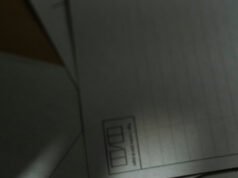 這一切意味著什麼?法國學生每年都會嘗試解釋一次。