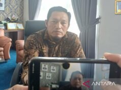 ESDM 部門:六個公共 PLTS 已經在努力為廖內島居民提供教育