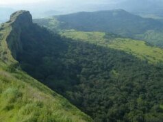 Lohagad Fort 謀殺案發生前,未婚妻和情人打了 2,004 通電話