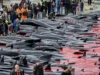 「維京人」讓法羅群島的海灘染紅了! – 來自沙烏地阿拉伯的新聞