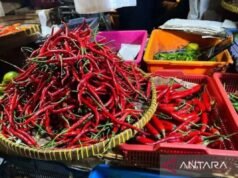 PIHPS:紅辣椒價格IDR 75,650/kg,蛋價格IDR 30,400/kg