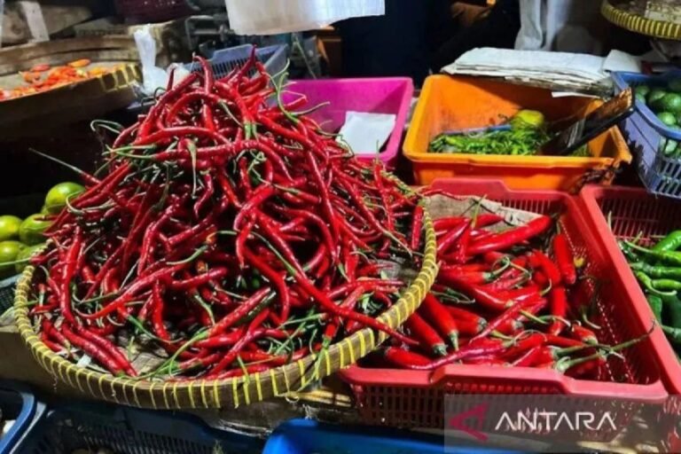 PIHPS：紅辣椒價格IDR 75,650/kg，蛋價格IDR 30,400/kg