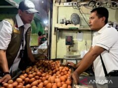 PIHPS:放養蛋價格為Rp30,400/kg,青蔥Rp54,350/kg