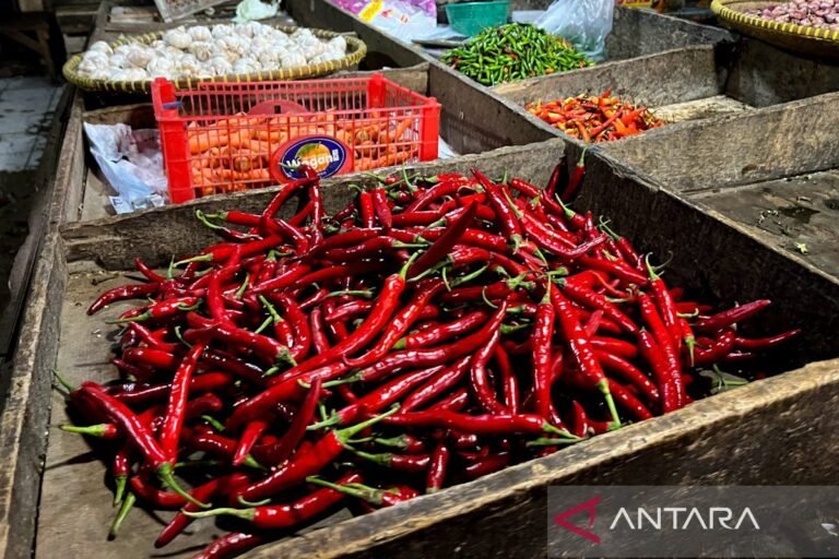 週四上午，紅辣椒價格為 IDR 70,400/kg，雞蛋價格為 IDR 29,750/kg