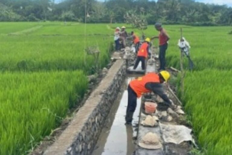 公共工程部長：P3TGAI 活動維持峇裡島 Sabak 系統的可持續性