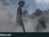 歐洲創紀錄的熱浪襲擊了交通和基礎服務