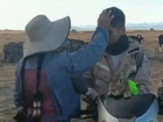 一位母親與她的兒子和她旅行的兔子告別