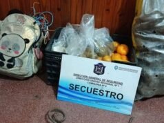 薩爾塔一名年輕人因偷菜被捕