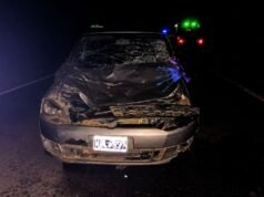 RP 56 上的致命事故導致 La Mendieta 的一匹馬死亡