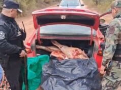 農業警察在薩爾塔查獲140公斤狀況不佳的肉類