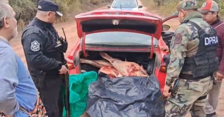 農業警察在薩爾塔查獲140公斤狀況不佳的肉類
