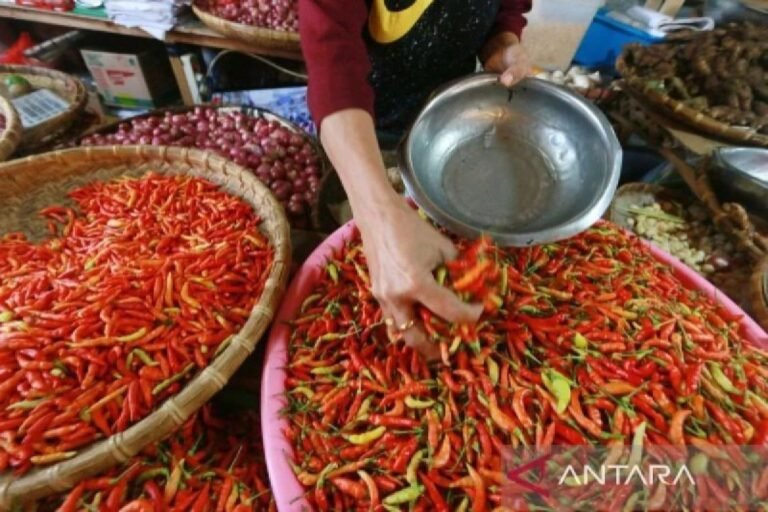 週一早上，紅辣椒價格為 IDR 91,650/kg，雞蛋價格為 IDR 29,500/kg